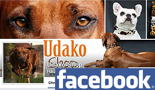 Facebook UDAKO Shop