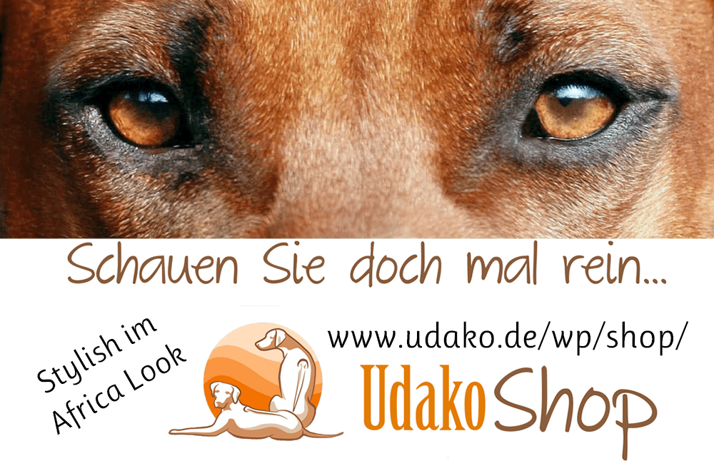 UDAKO Shop